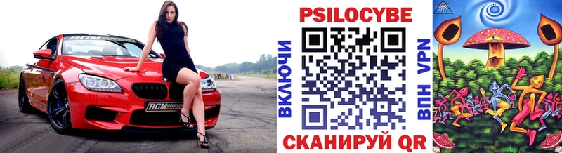 Псилоцибиновые грибы Cubensis  что такое   Сельцо 